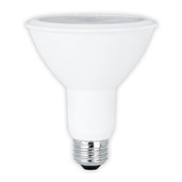 PAR30 LED