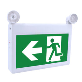 Combo Emergency Light