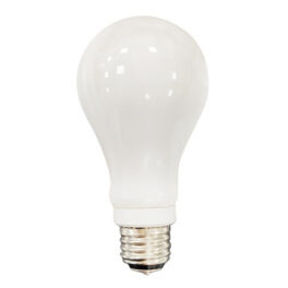 A21 Milky Filament (Watt Adjustable)