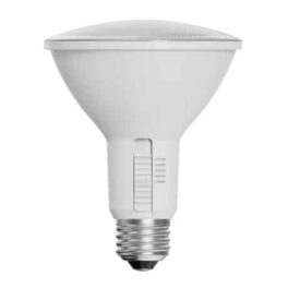 PAR30 LED - 5Way CCT Adjustable