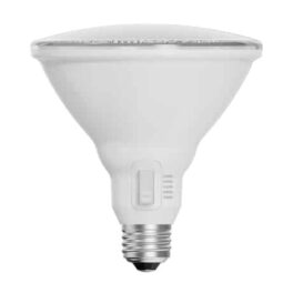 PAR38 LED - 5Way CCT Adjustable