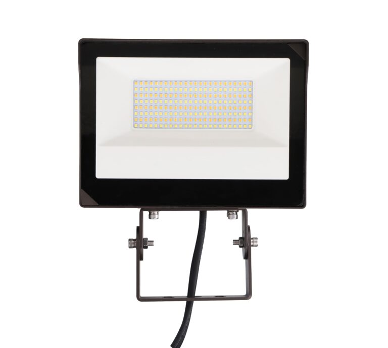 Multi-Voltage Flood Light