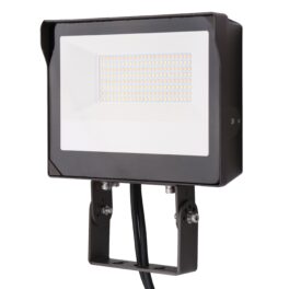Multi-Voltage Flood Light