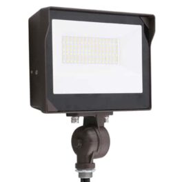 Multi-Voltage Flood Light