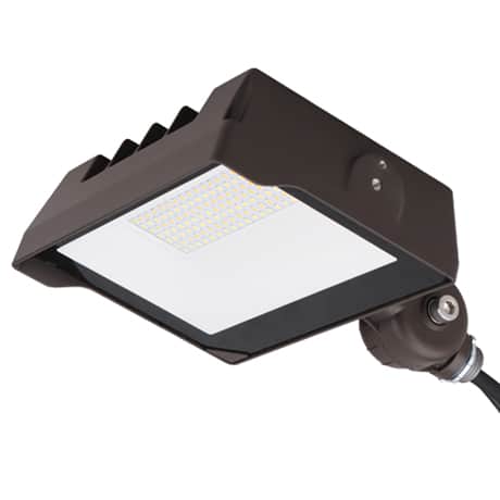 Multi-Voltage Flood Light