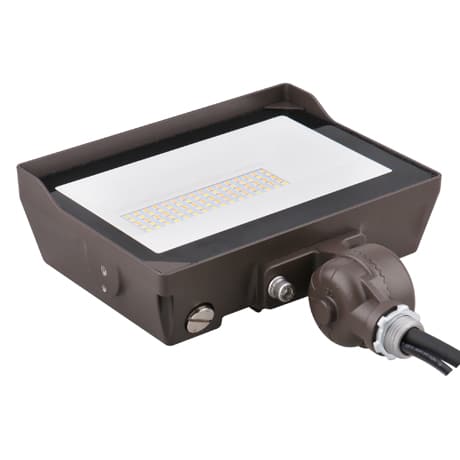 Multi-Voltage Flood Light