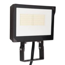 Multi-Voltage Flood Light