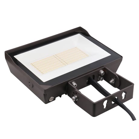 Multi-Voltage Flood Light
