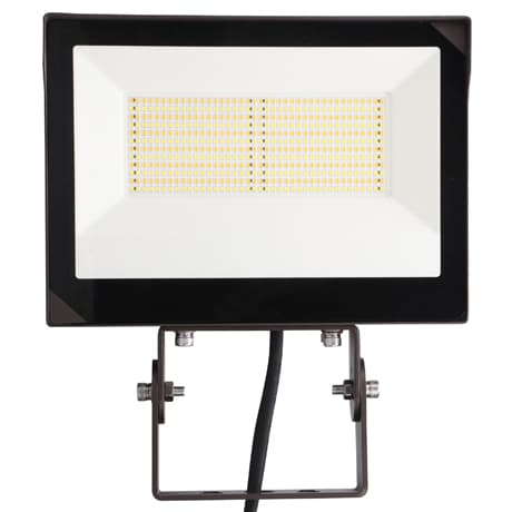 Multi-Voltage Flood Light
