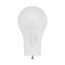 GU24 A19 LED - 5Way CCT Adjustable